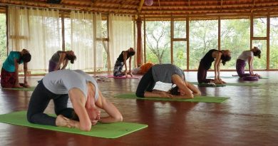 Top 5 Yoga Studios in Rishikesh