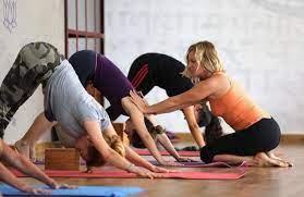 Learn About Yoga Gurus